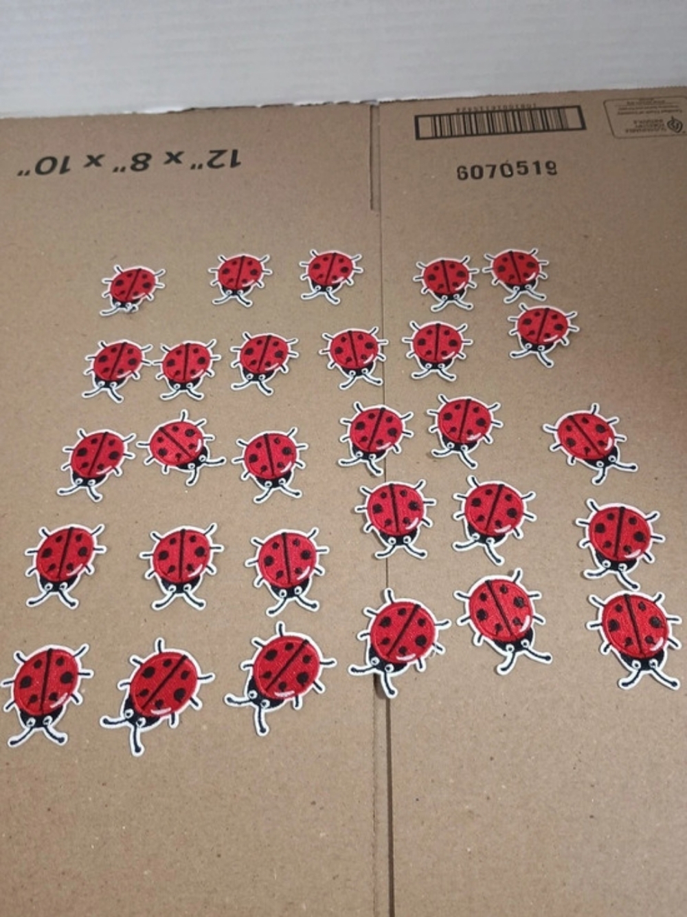 Ladybug Iron On Patch
